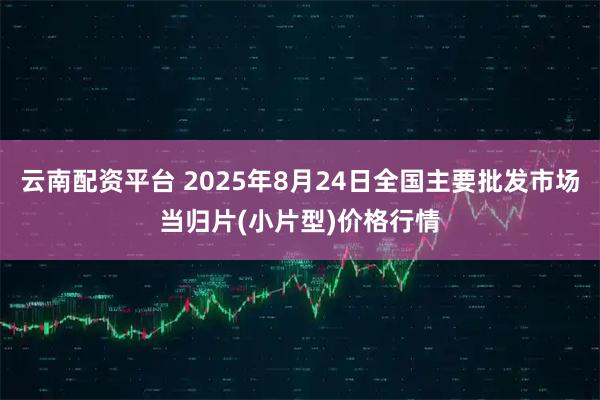 云南配资平台 2025年8月24日全国主要批发市场当归片(小片型)价格行情