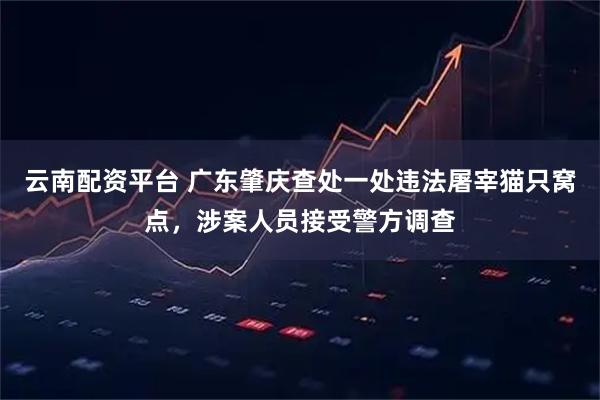 云南配资平台 广东肇庆查处一处违法屠宰猫只窝点，涉案人员接受警方调查