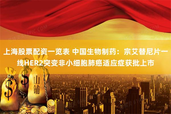 上海股票配资一览表 中国生物制药：宗艾替尼片一线HER2突变非小细胞肺癌适应症获批上市